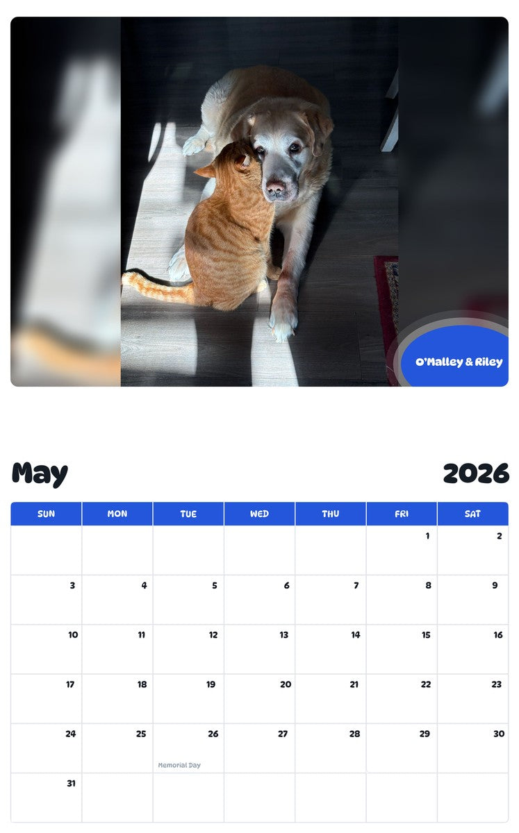 2026 - 2027 O’Malley & Riley - Pawidols Pet Calendar