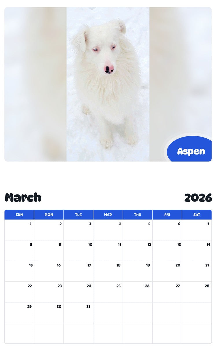 November 2025 - October 2026 Aspen - Pawidols Pet Calendar