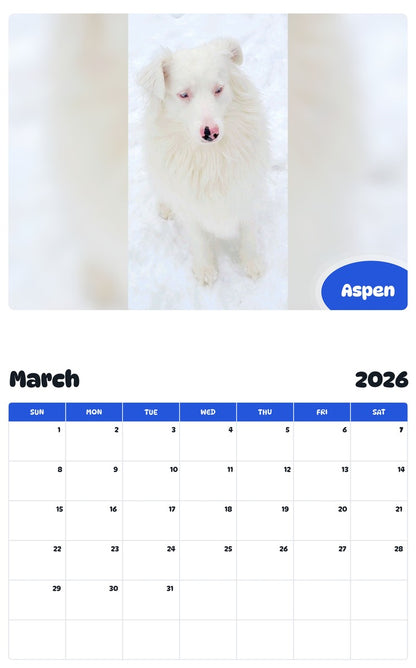 November 2025 - October 2026 Aspen - Pawidols Pet Calendar