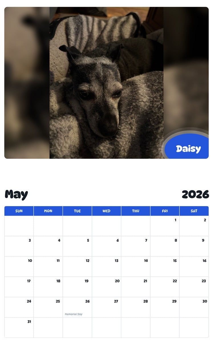 2026 - 2027 Daisy - Pawidols Pet Calendar