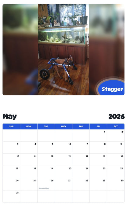2026 - 2027 Stagger - Pawidols Pet Calendar