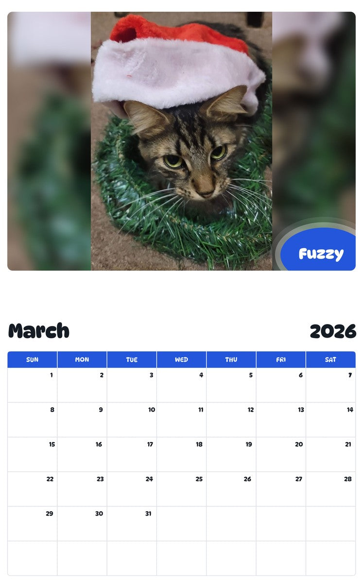 November 2025 - October 2026 Fuzzy - Pawidols Pet Calendar