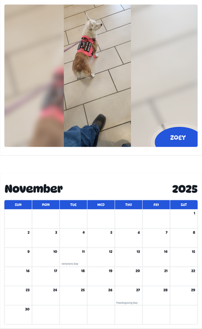July 2025 - June 2026 Zoey - Pawidols Pet Calendar