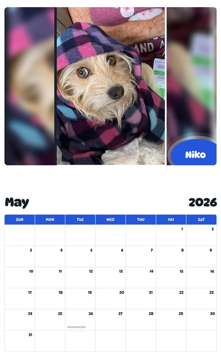 2026 - 2027 Niko - Pawidols Pet Calendar
