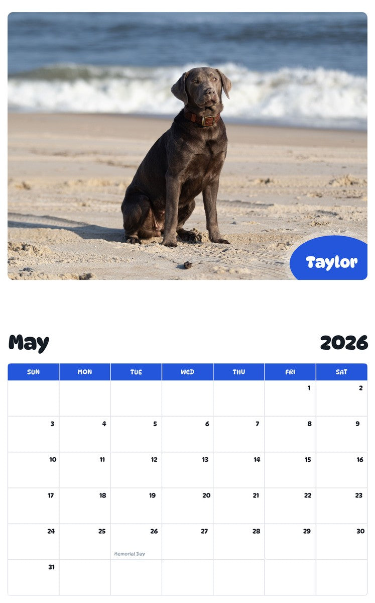 2026 - 2027 Taylor - Pawidols Pet Calendar