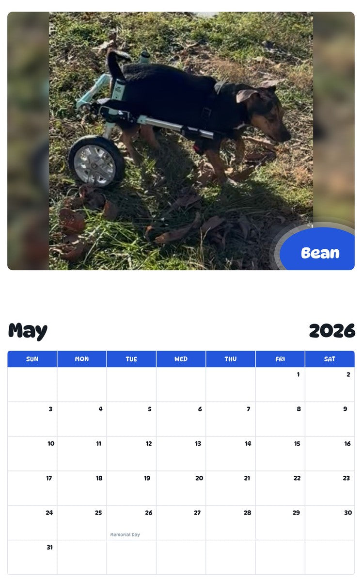 2026 - 2027 Bean - Pawidols Pet Calendar