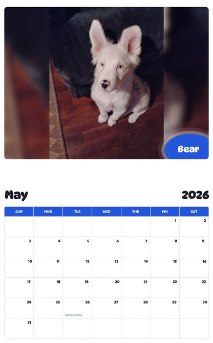 2026 - 2027 Bear - Pawidols Pet Calendar