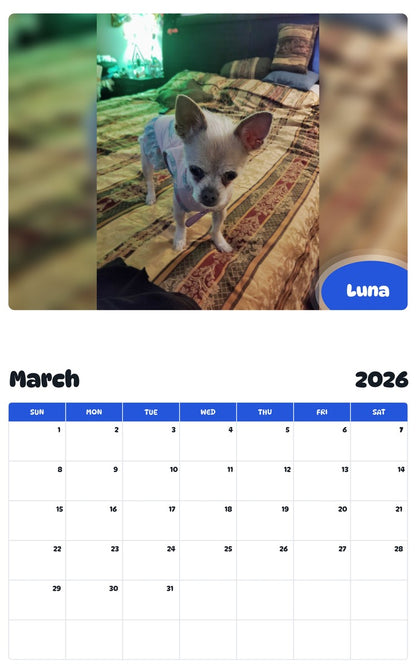 November 2025 - October 2026 Luna - Pawidols Pet Calendar