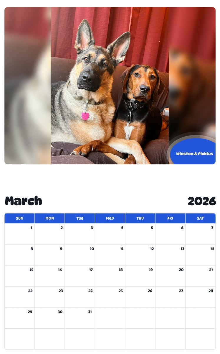 November 2025 - October 2026 Winston & Pickles - Pawidols Pet Calendar