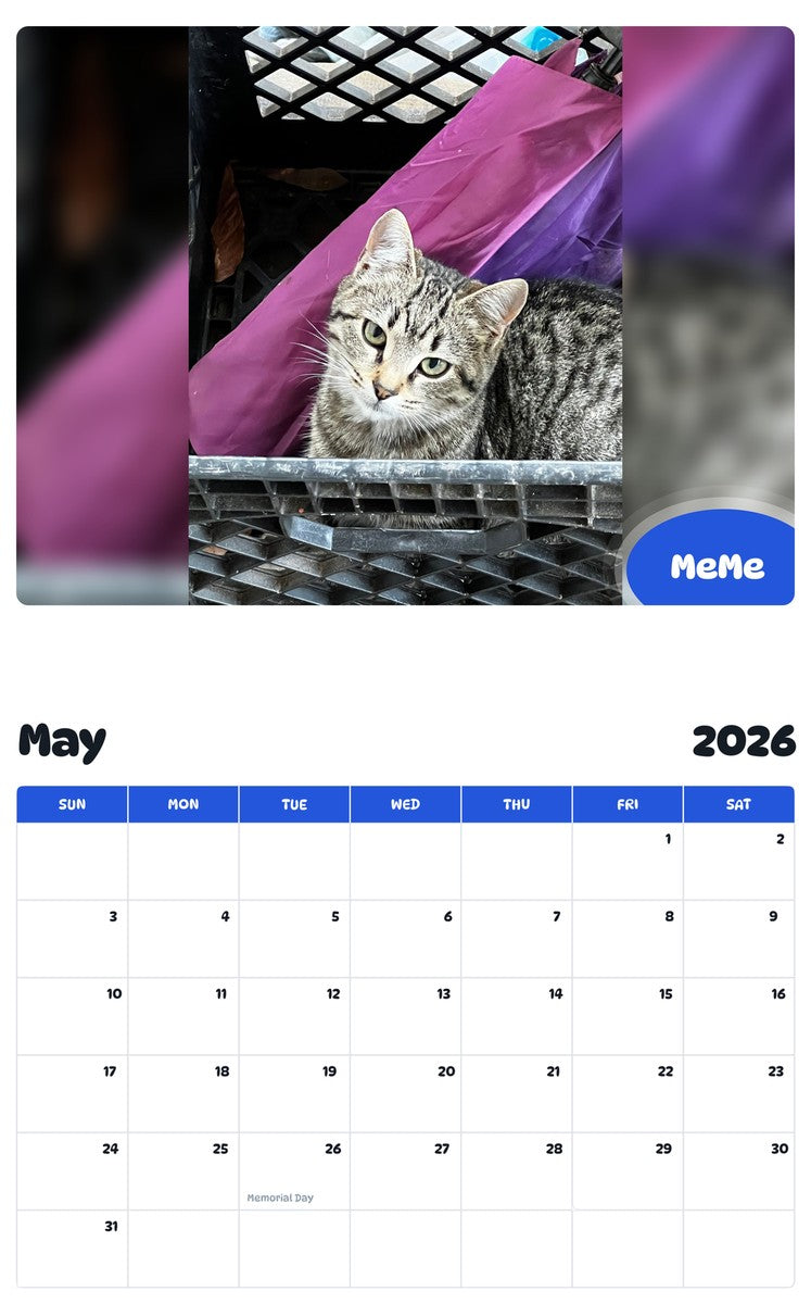 2026 - 2027 MeMe - Pawidols Pet Calendar