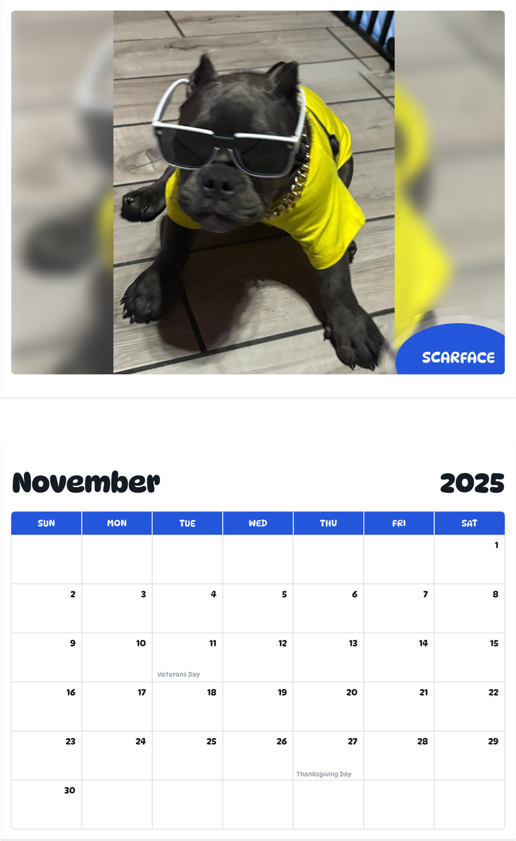July 2025 - June 2026 Scarface - Pawidols Pet Calendar