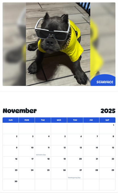 July 2025 - June 2026 Scarface - Pawidols Pet Calendar