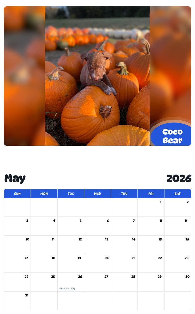 2026 - 2027 Coco Bear - Pawidols Pet Calendar