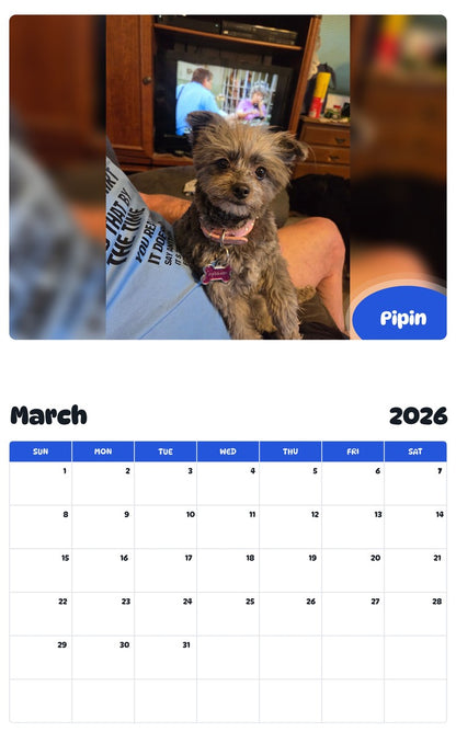 November 2025 - October 2026 Pipin - Pawidols Pet Calendar
