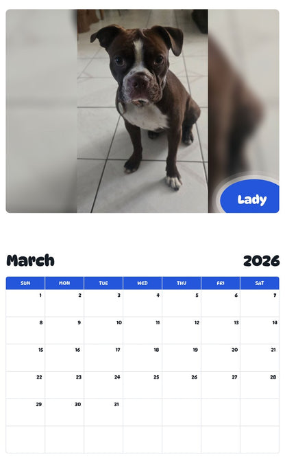 November 2025 - October 2026 Lady - Pawidols Pet Calendar