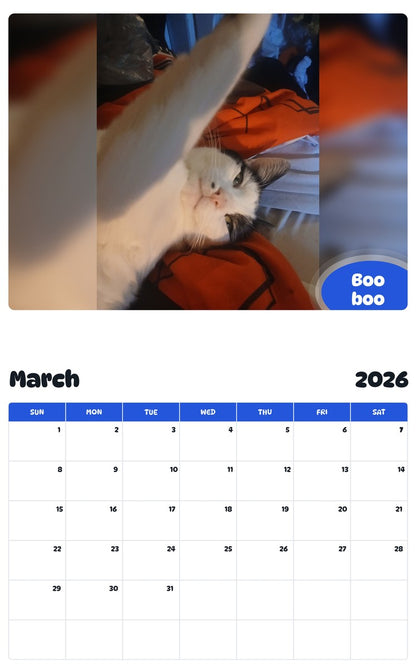 November 2025 - October 2026 Boo boo - Pawidols Pet Calendar