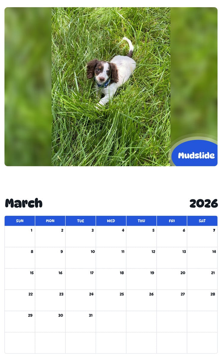 November 2025 - October 2026 Mudslide - Pawidols Pet Calendar