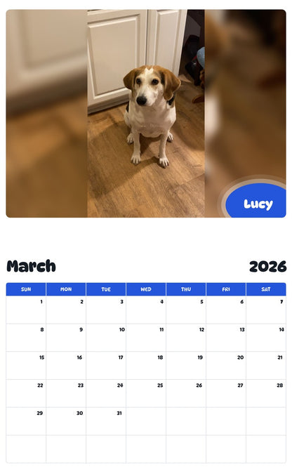 November 2025 - October 2026 Lucy - Pawidols Pet Calendar