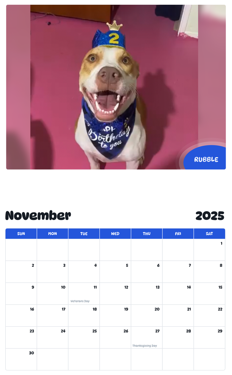 July 2025 - June 2026 Rubble - Pawidols Pet Calendar