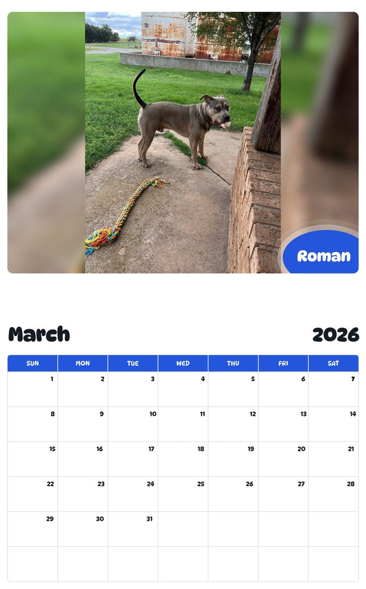November 2025 - October 2026 Roman - Pawidols Pet Calendar