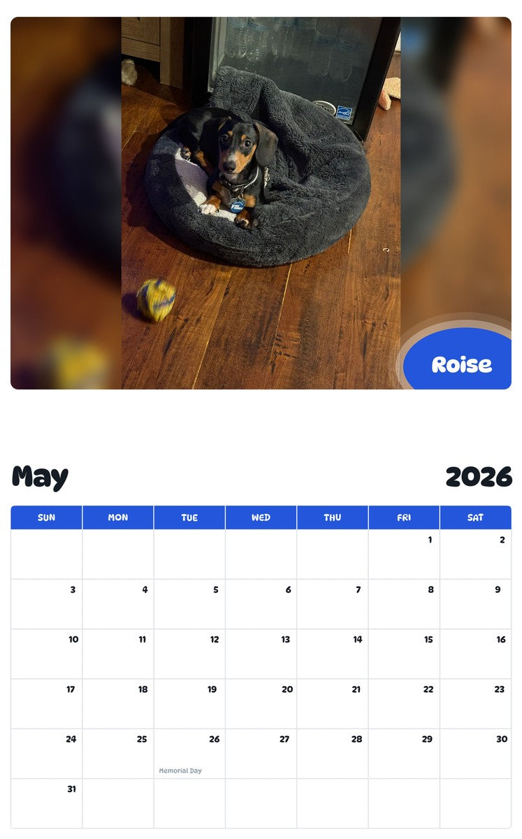 2026 - 2027 Roise - Pawidols Pet Calendar
