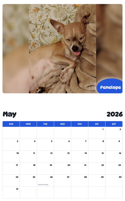 2026 - 2027 Penelope - Pawidols Pet Calendar