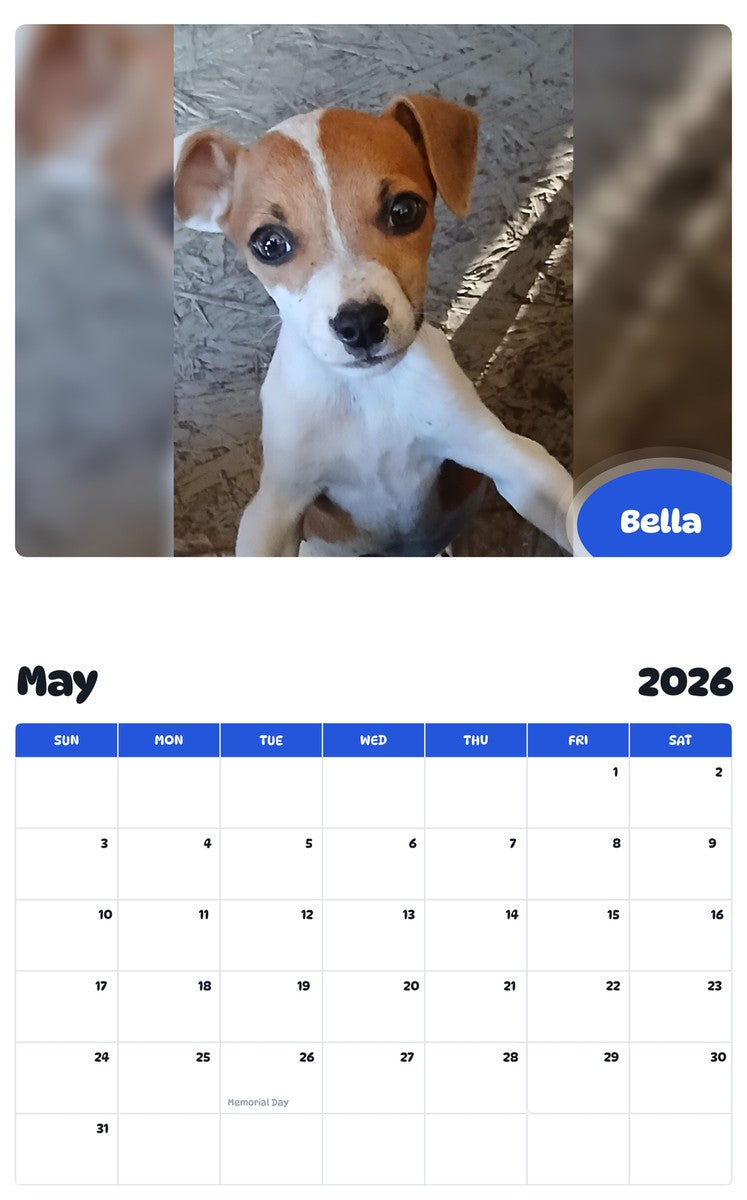 2026 - 2027 Bella - Pawidols Pet Calendar