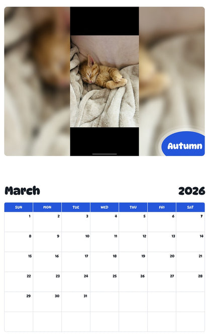 November 2025 - October 2026 Autumn - Pawidols Pet Calendar
