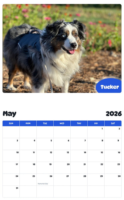 2026 - 2027 Tucker - Pawidols Pet Calendar