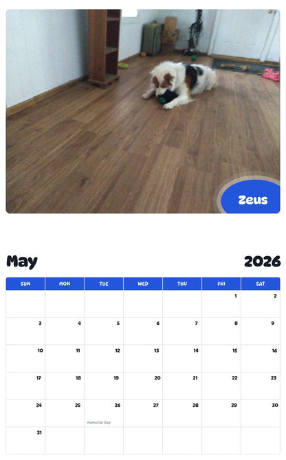 2026 - 2027 Zeus - Pawidols Pet Calendar
