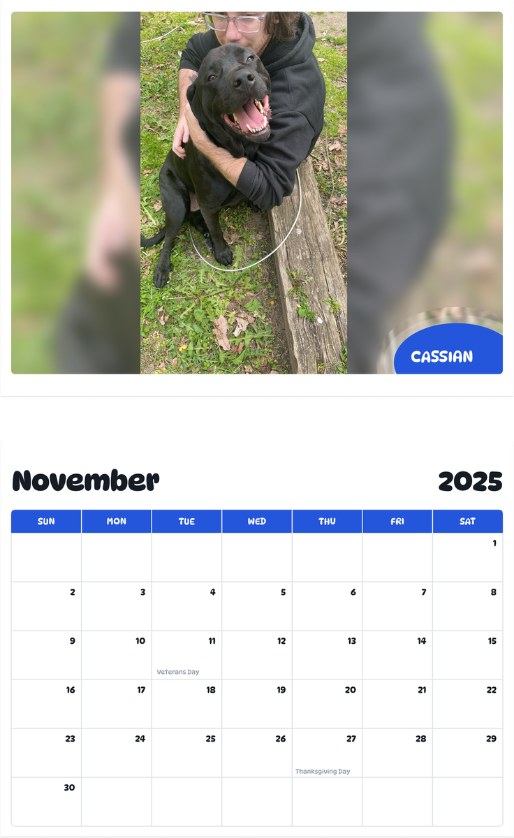 July 2025 - June 2026 Cassian - Pawidols Pet Calendar