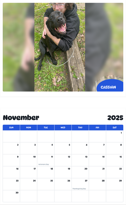 July 2025 - June 2026 Cassian - Pawidols Pet Calendar