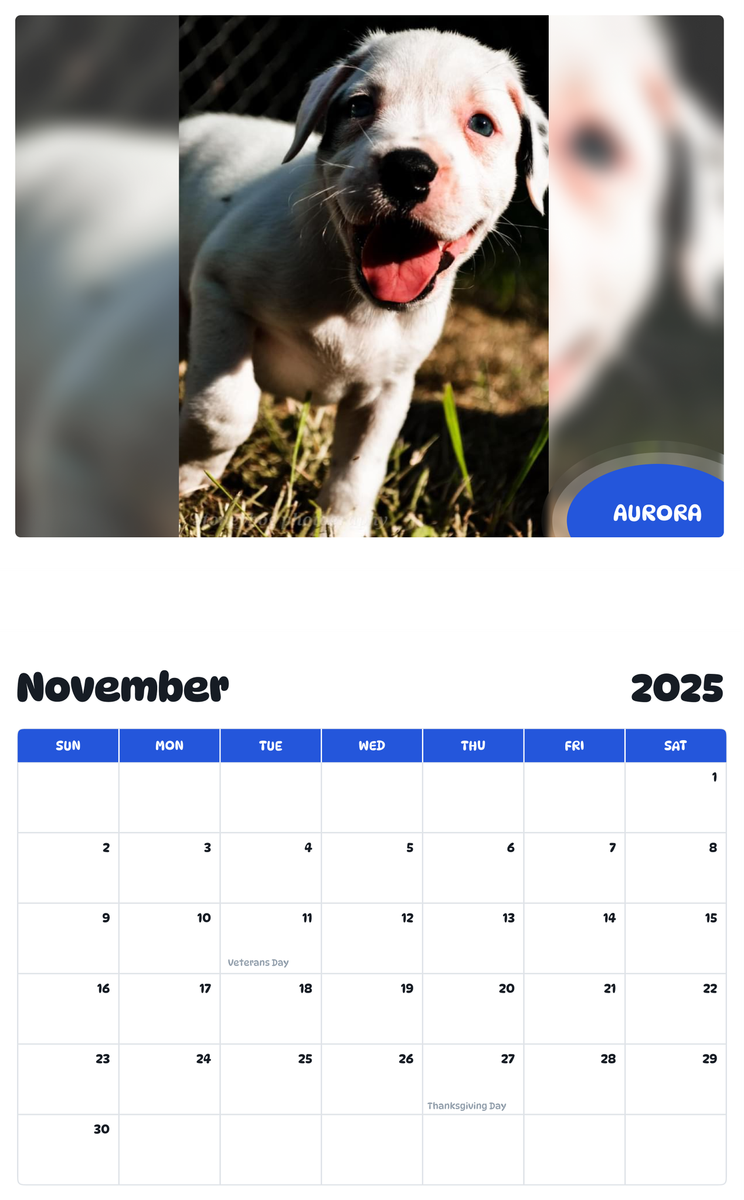 July 2025 - June 2026 Aurora - Pawidols Pet Calendar