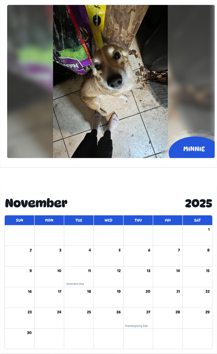 July 2025 - June 2026 Minnie - Pawidols Pet Calendar