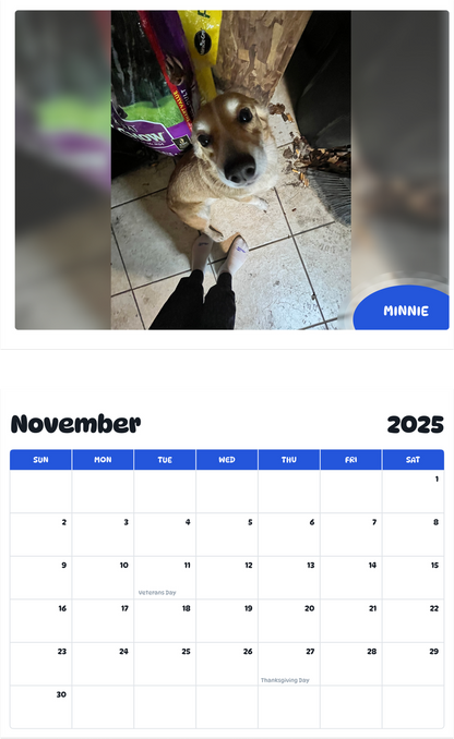 July 2025 - June 2026 Minnie - Pawidols Pet Calendar