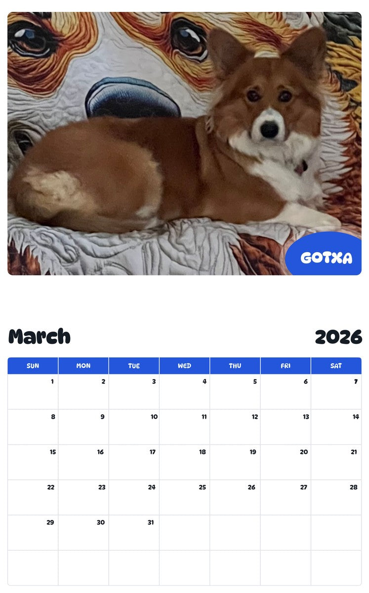 November 2025 - October 2026 GOTXA - Pawidols Pet Calendar