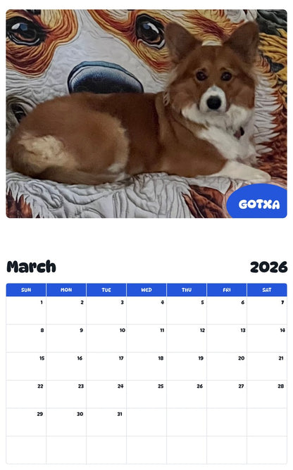 November 2025 - October 2026 GOTXA - Pawidols Pet Calendar