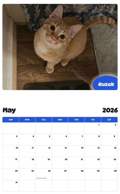 2026 - 2027 Ruzek - Pawidols Pet Calendar
