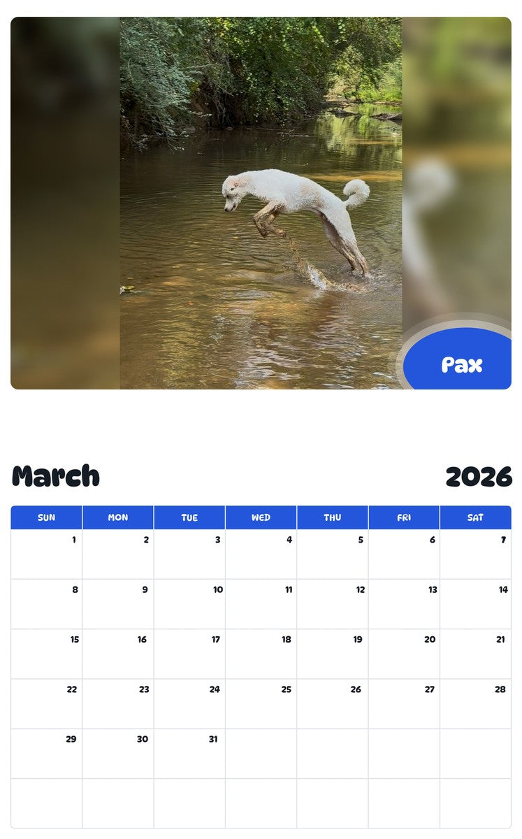 November 2025 - October 2026 Pax - Pawidols Pet Calendar