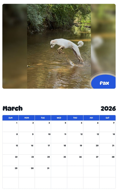 November 2025 - October 2026 Pax - Pawidols Pet Calendar