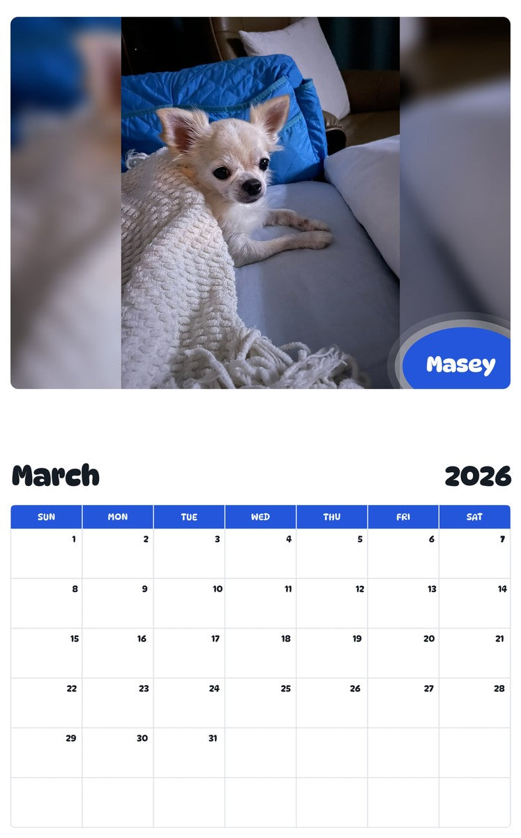 November 2025 - October 2026 Masey - Pawidols Pet Calendar
