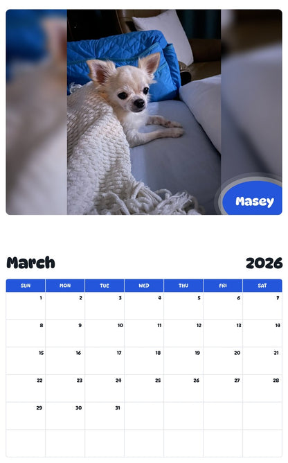 November 2025 - October 2026 Masey - Pawidols Pet Calendar