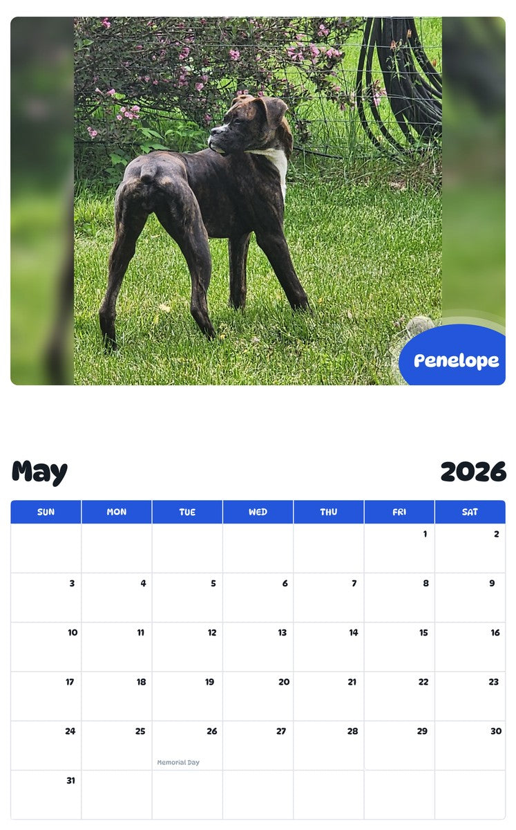 2026 - 2027 Penelope - Pawidols Pet Calendar