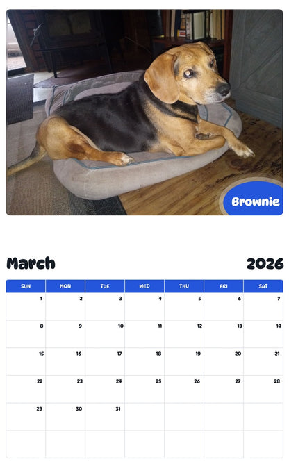 November 2025 - October 2026 Brownie - Pawidols Pet Calendar