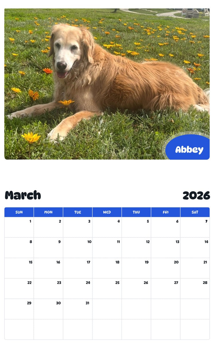 November 2025 - October 2026 Abbey - Pawidols Pet Calendar