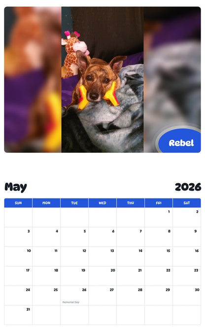 2026 - 2027 Rebel - Pawidols Pet Calendar