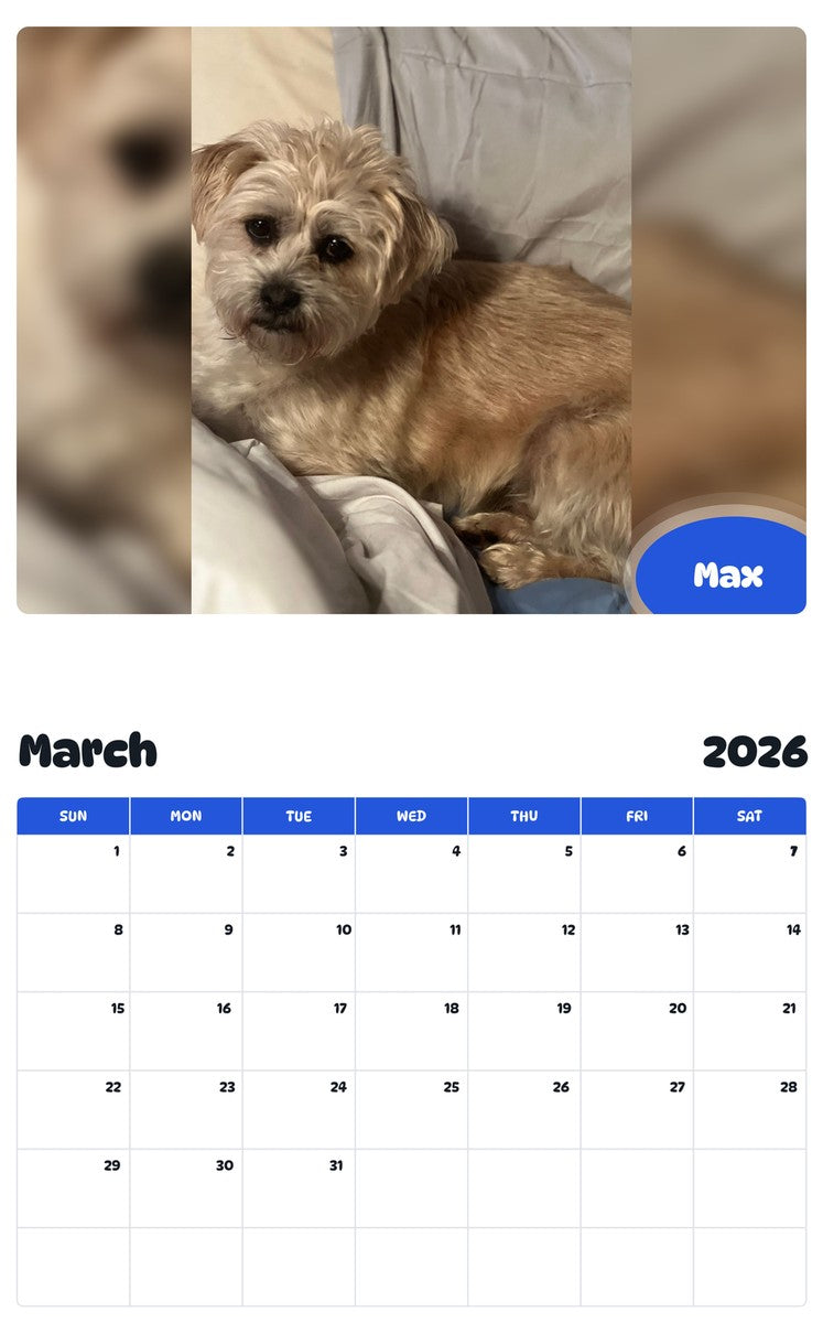 November 2025 - October 2026 Max - Pawidols Pet Calendar
