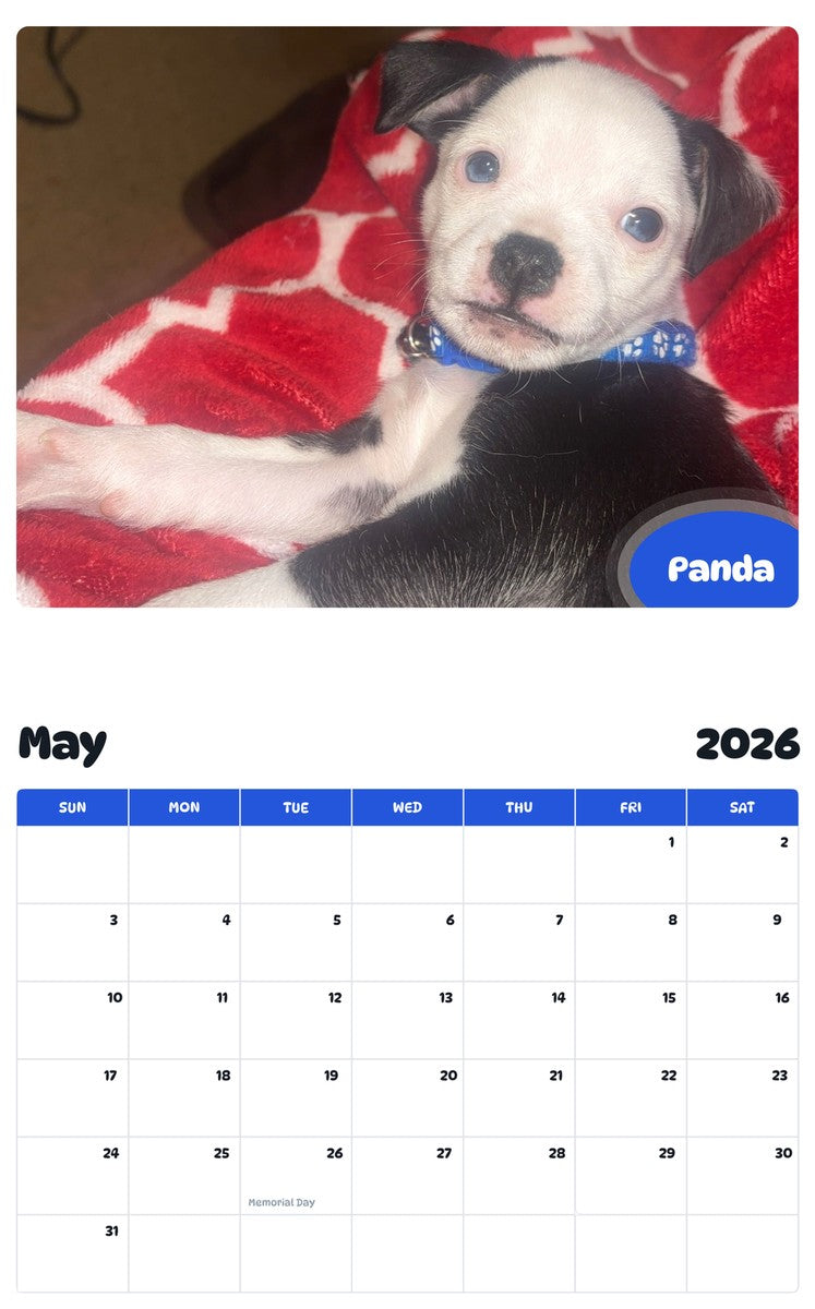 2026 - 2027 Panda - Pawidols Pet Calendar
