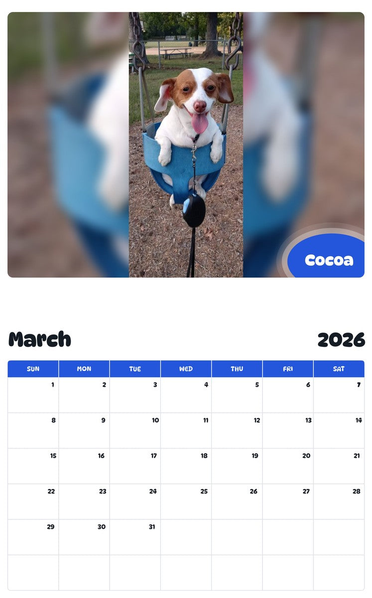 November 2025 - October 2026 Cocoa - Pawidols Pet Calendar