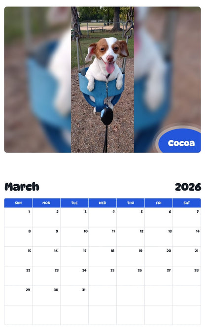 November 2025 - October 2026 Cocoa - Pawidols Pet Calendar